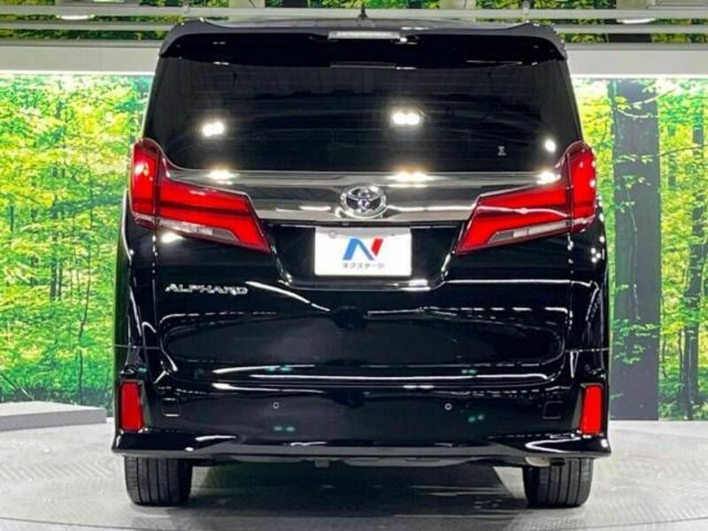 ALPHARD-16