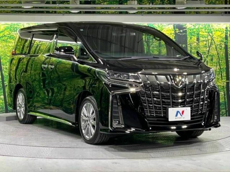 ALPHARD-17