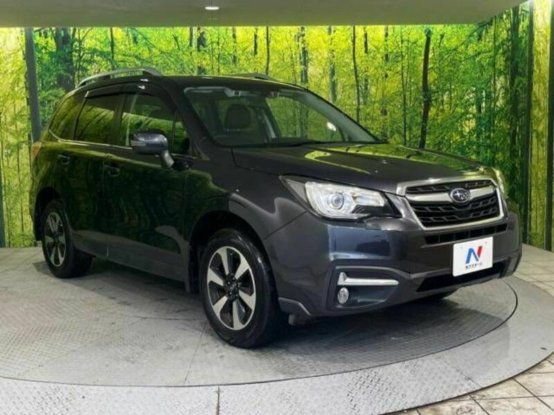 FORESTER-16