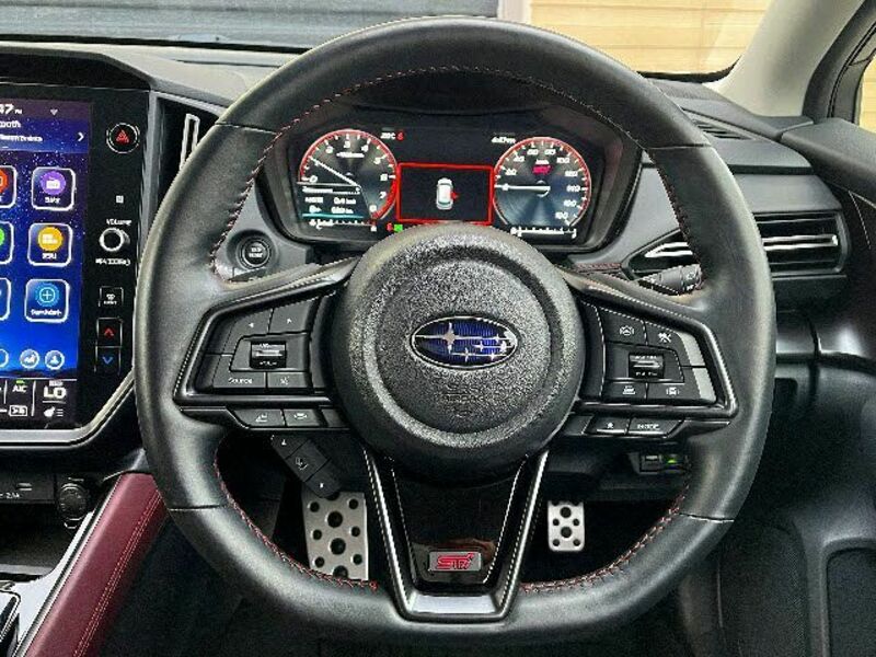 LEVORG-13