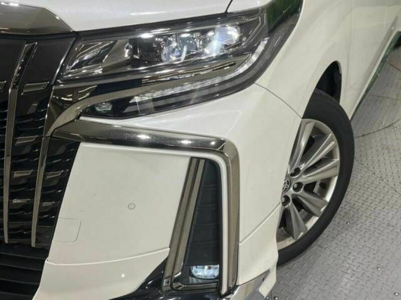 ALPHARD-12