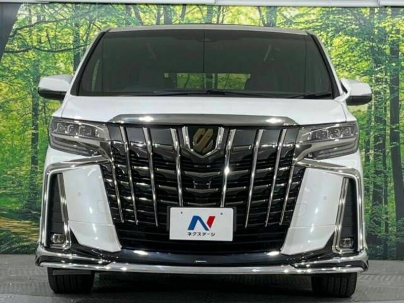 ALPHARD-14