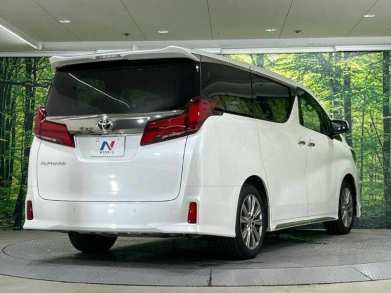 ALPHARD-17