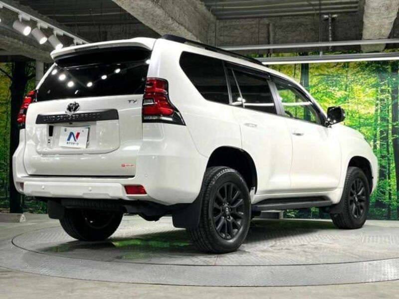 LAND CRUISER PRADO-18