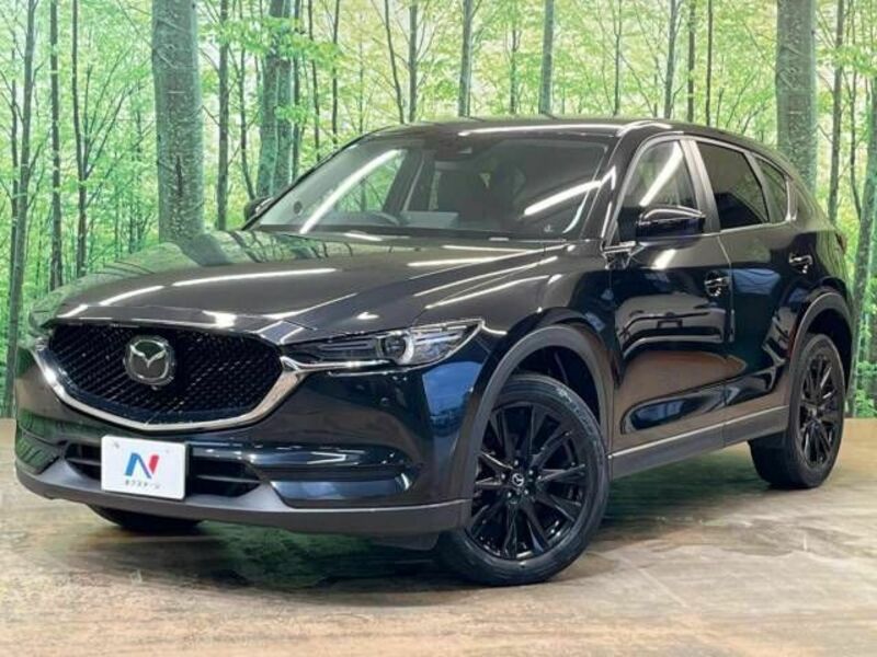 CX-5-19