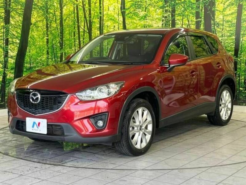 CX-5-19