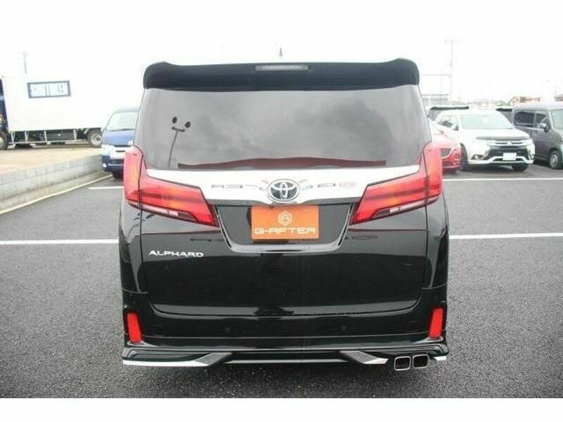 ALPHARD-10