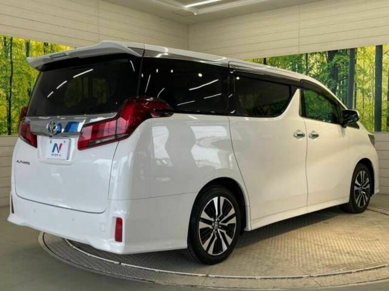 ALPHARD-17