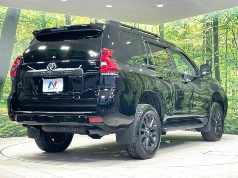 LAND CRUISER PRADO-18