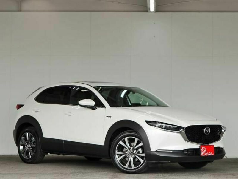 CX-30-1