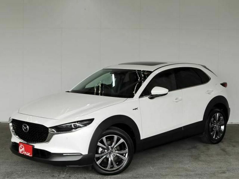 CX-30-2