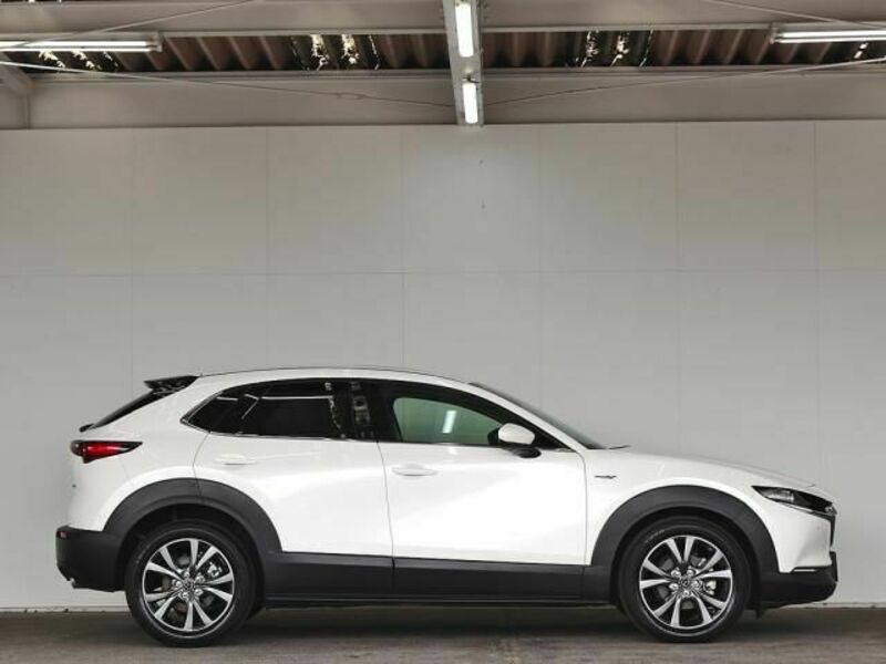 CX-30-4