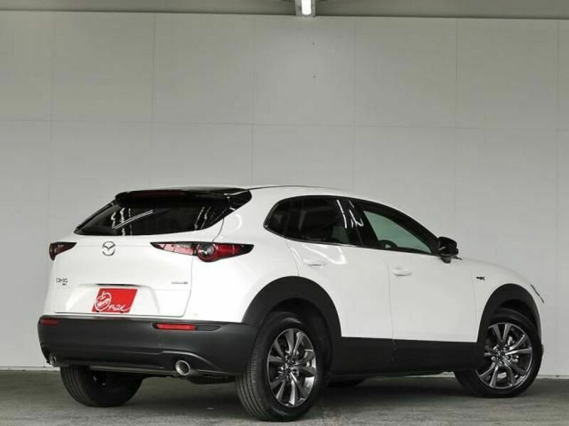 CX-30-6