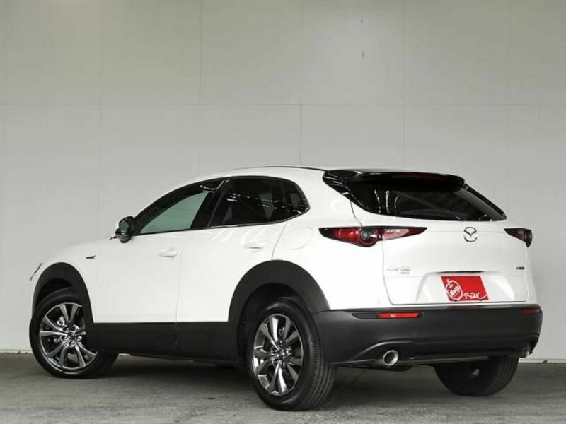 CX-30-7