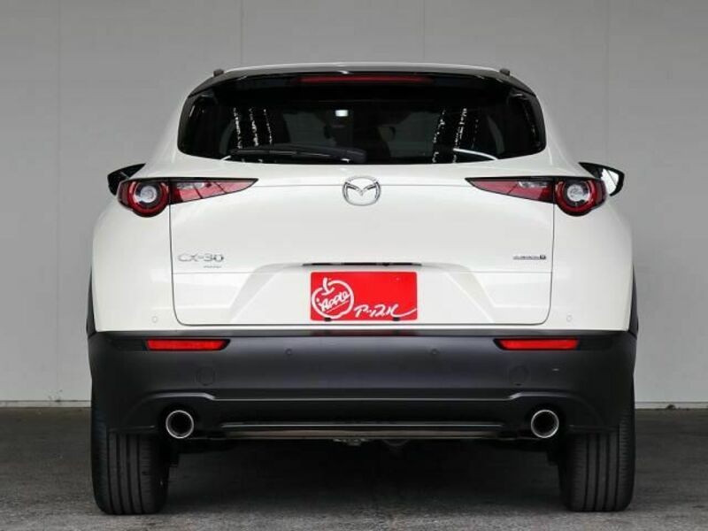 CX-30-8