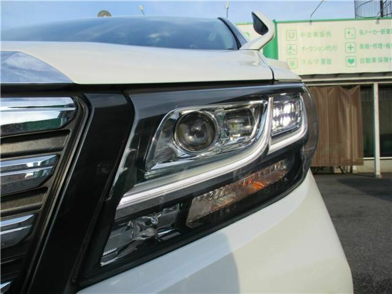 ALPHARD-33