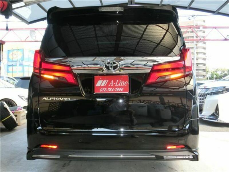 ALPHARD-3