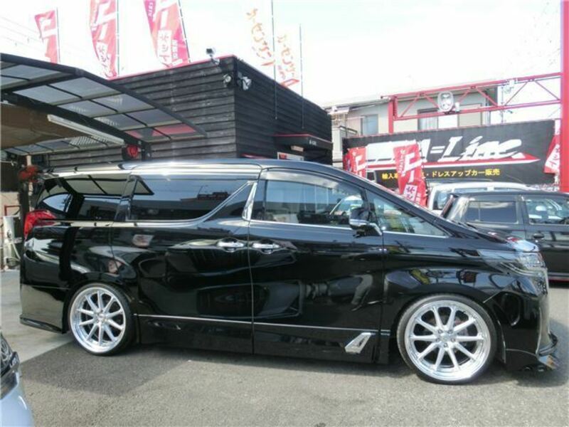 ALPHARD-6