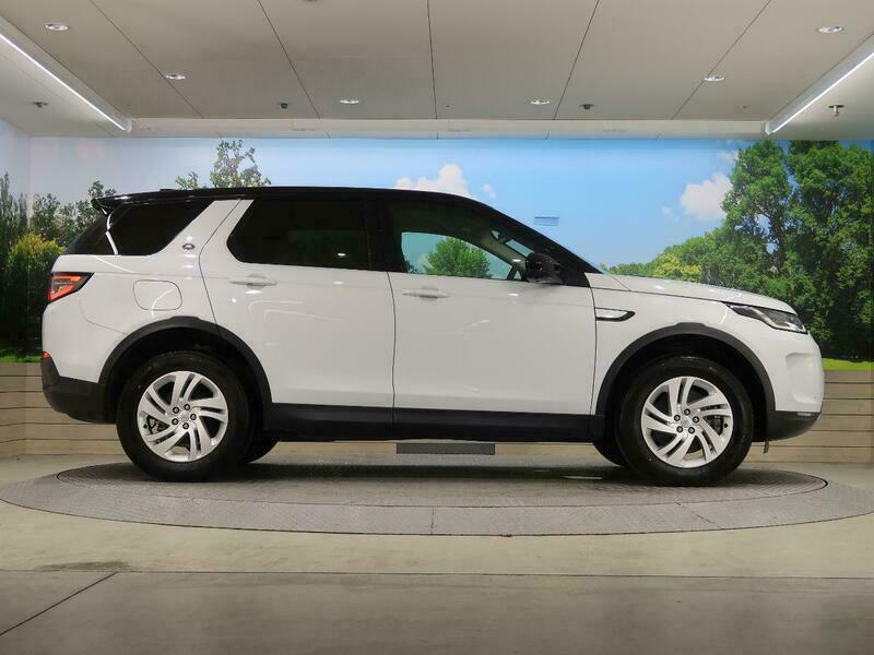 DISCOVERY SPORT-68