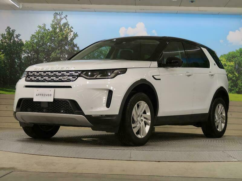 DISCOVERY SPORT-64
