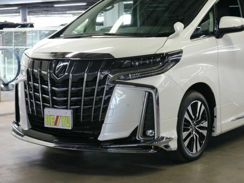 ALPHARD-26