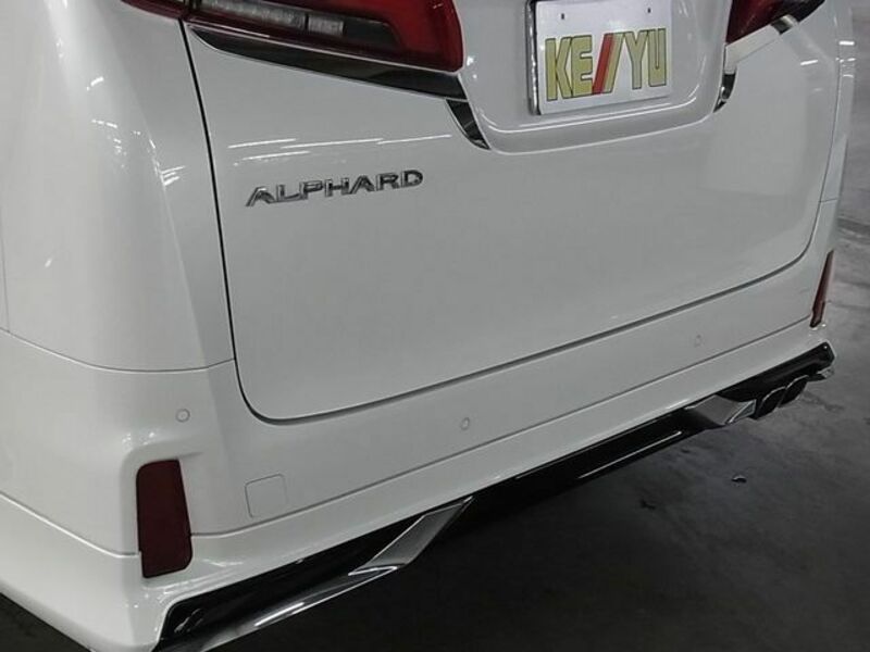 ALPHARD-28