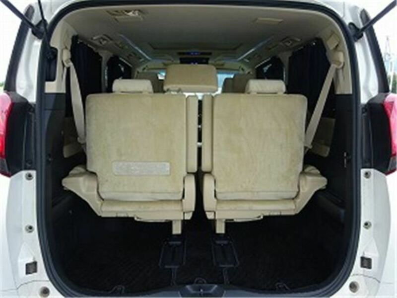 ALPHARD-13