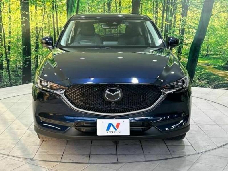 CX-5-13