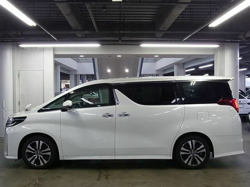 ALPHARD-8