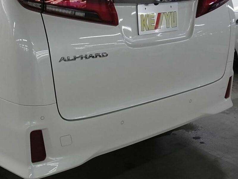 ALPHARD-29