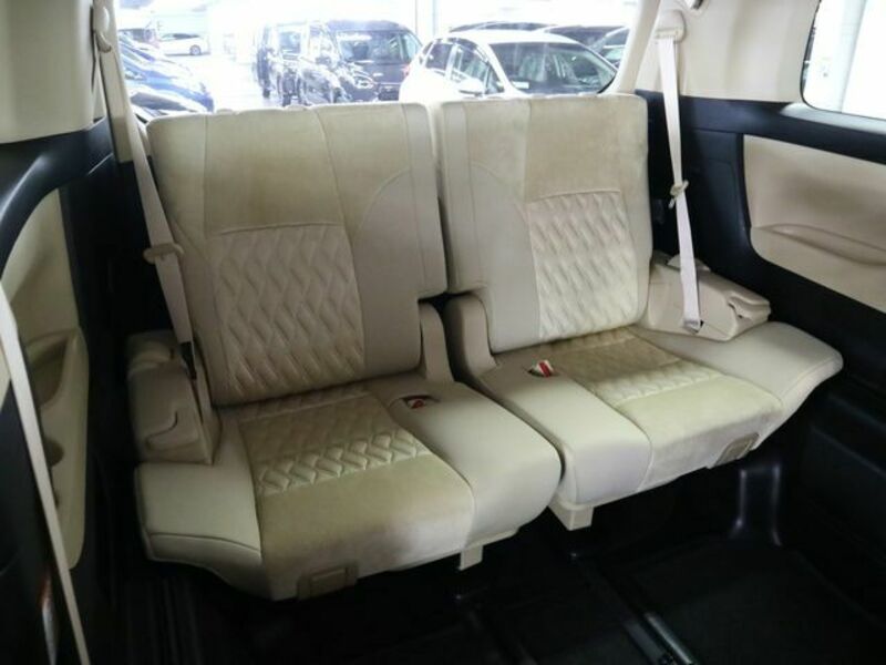 ALPHARD-13