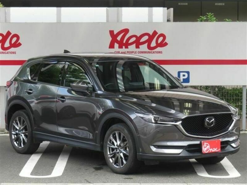 CX-5-1