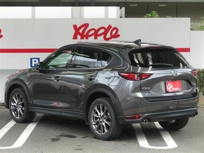 CX-5-3