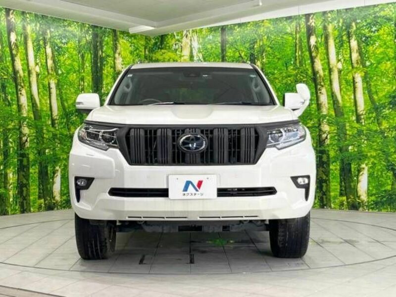 LAND CRUISER PRADO-15