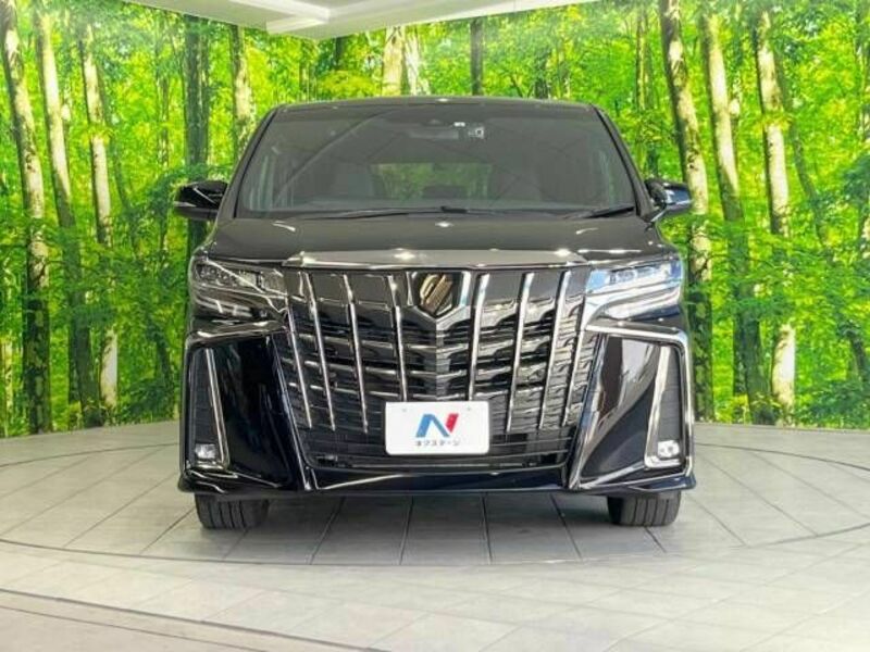 ALPHARD-15