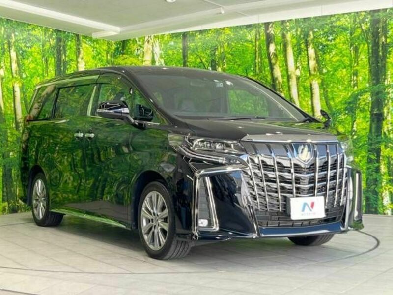 ALPHARD-17