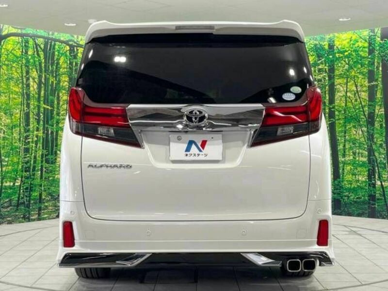 ALPHARD-16