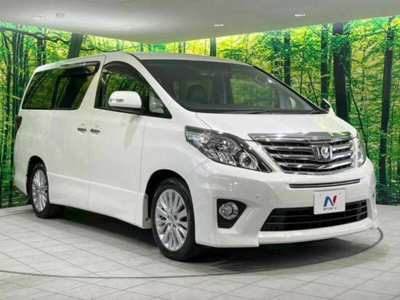 ALPHARD-17