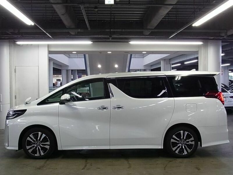 ALPHARD-8