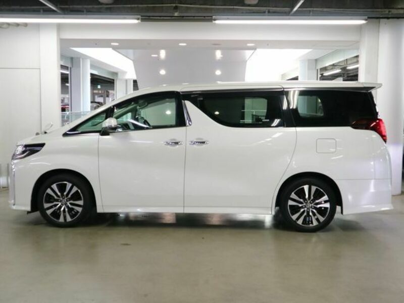 ALPHARD-8