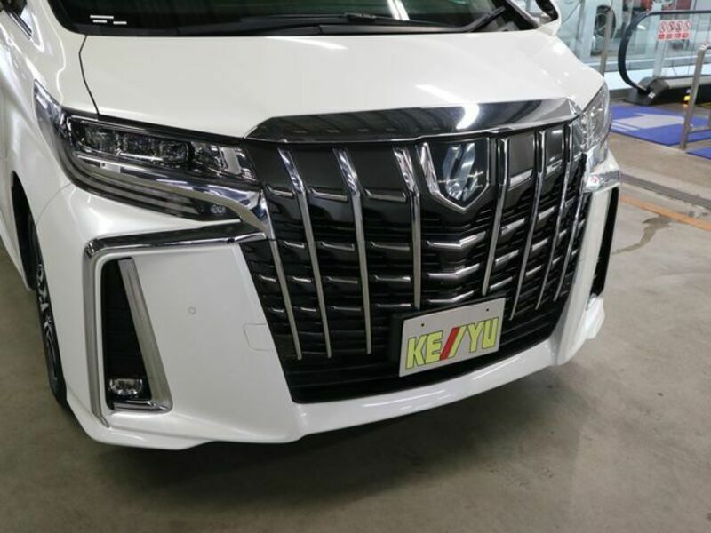 ALPHARD-26