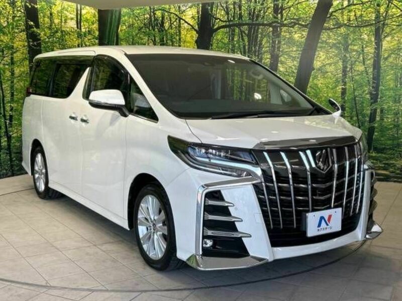 ALPHARD-16