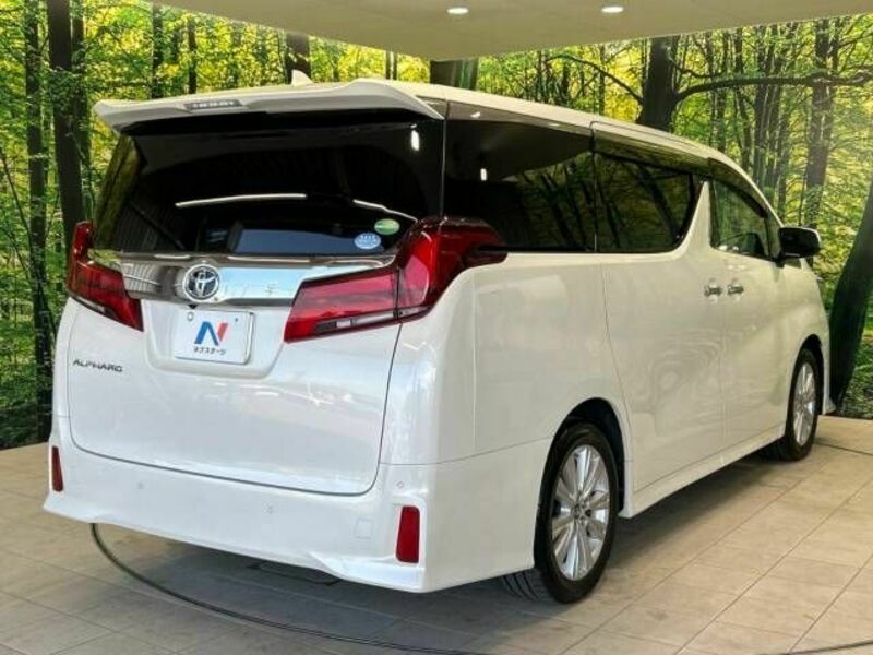 ALPHARD-17