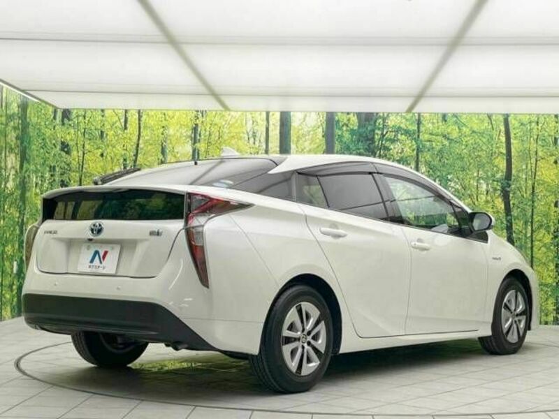 PRIUS-17