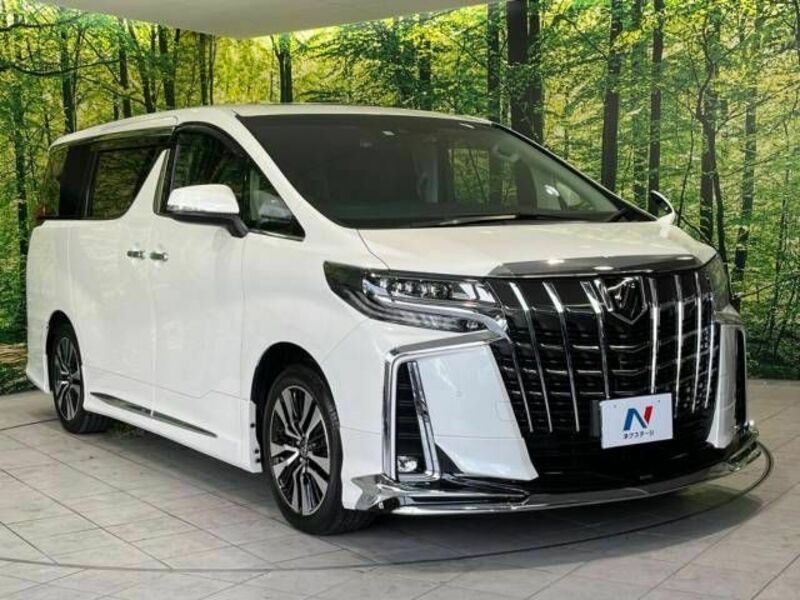 ALPHARD-16