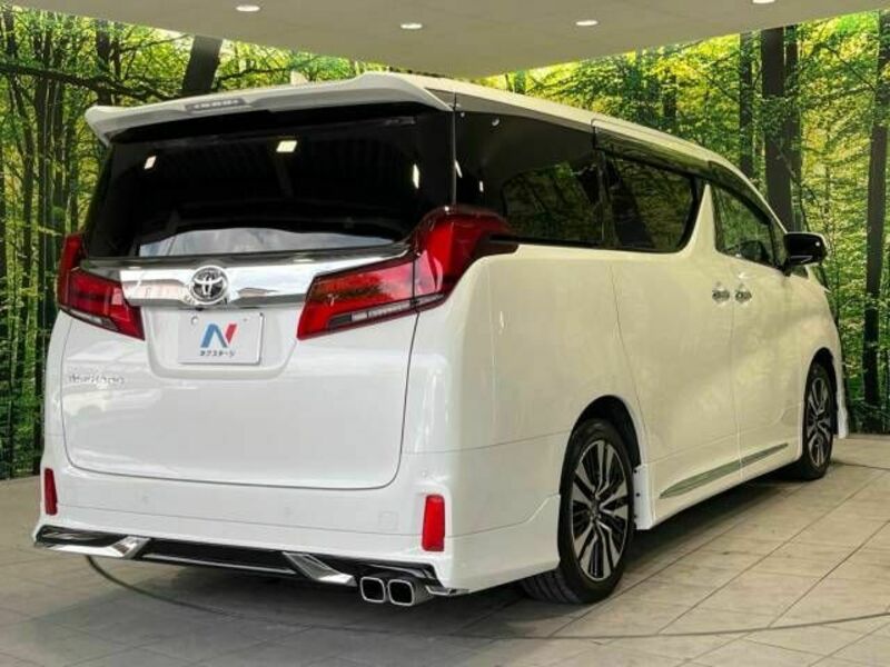 ALPHARD-17