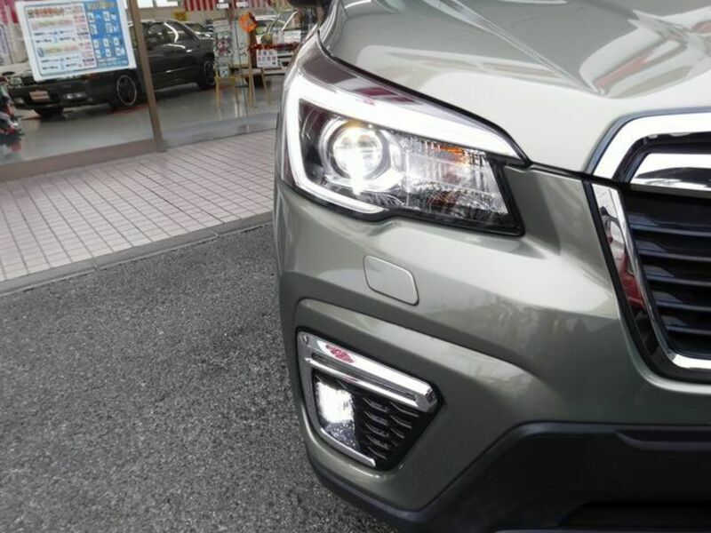 FORESTER-4