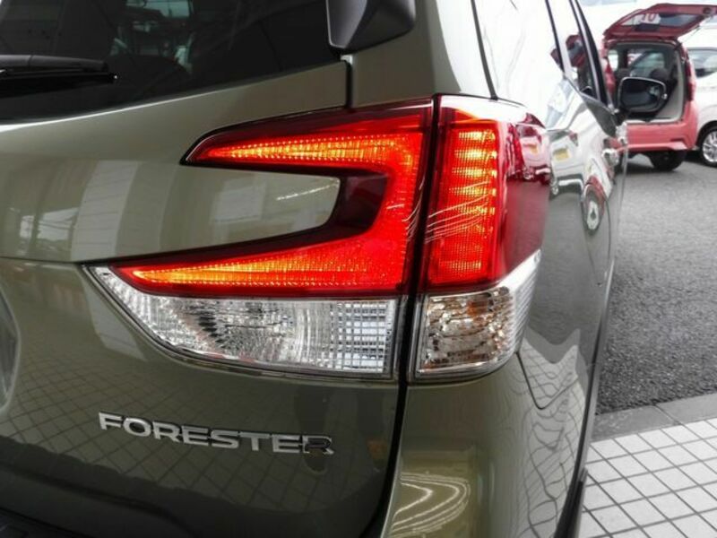 FORESTER-5