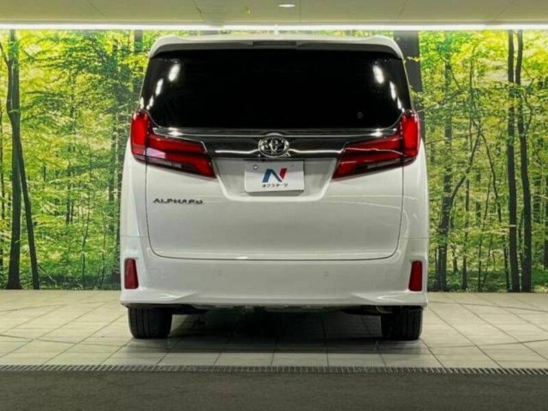 ALPHARD-15