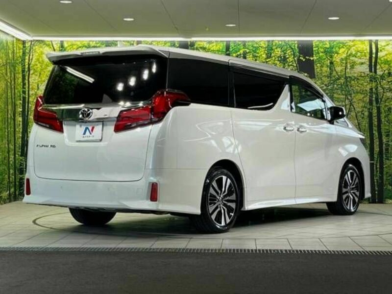 ALPHARD-17